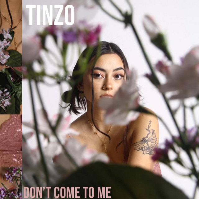 Tinzo
