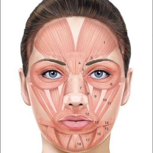 DJ BOTOX